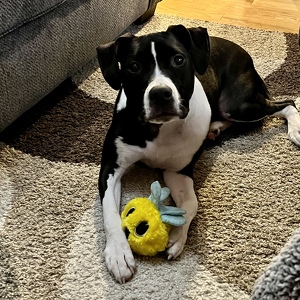 Fundraising Page: Cassandra Metke